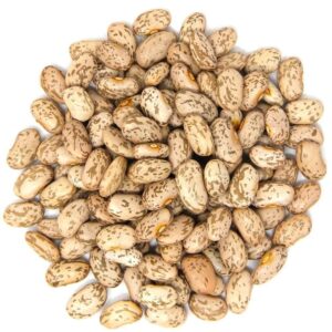 Pinto beans