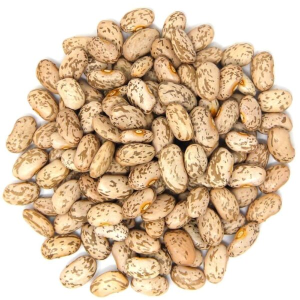 Pinto beans