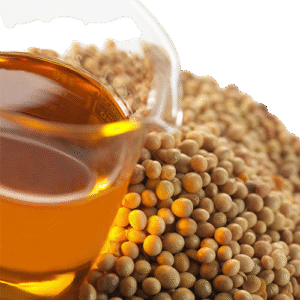 Refined Soybean Oil