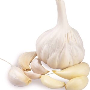 Pure white garlic