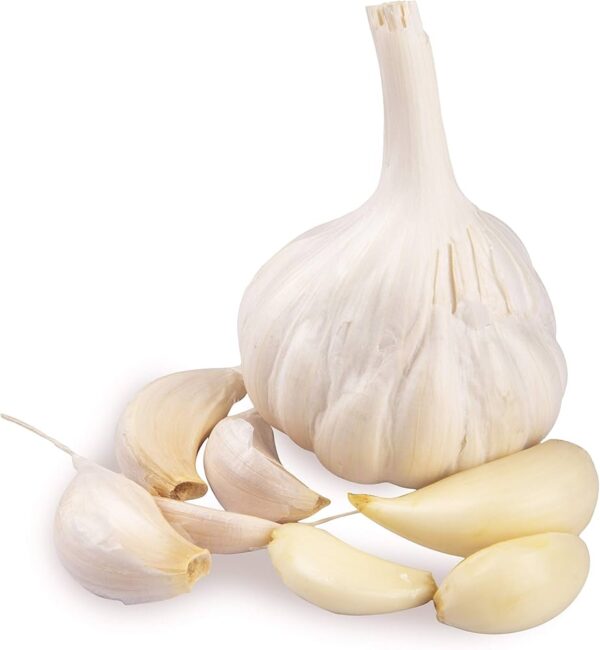Pure white garlic