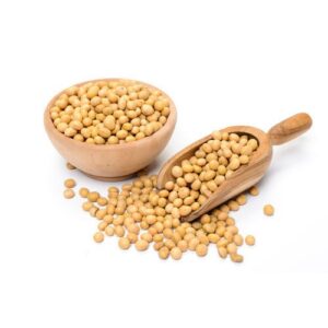Soybeans Seeds