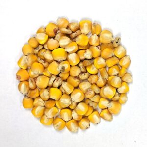 Seeds